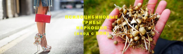 дживик Армянск