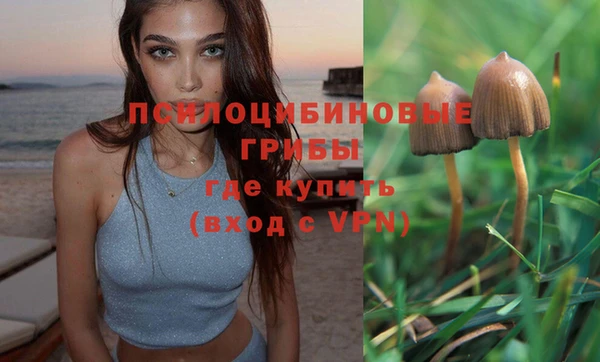 дживик Армянск