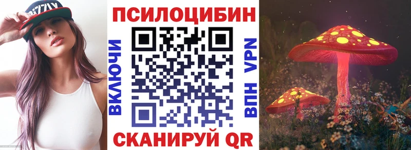 Галлюциногенные грибы Psilocybe  Купить закладки  Беслан 